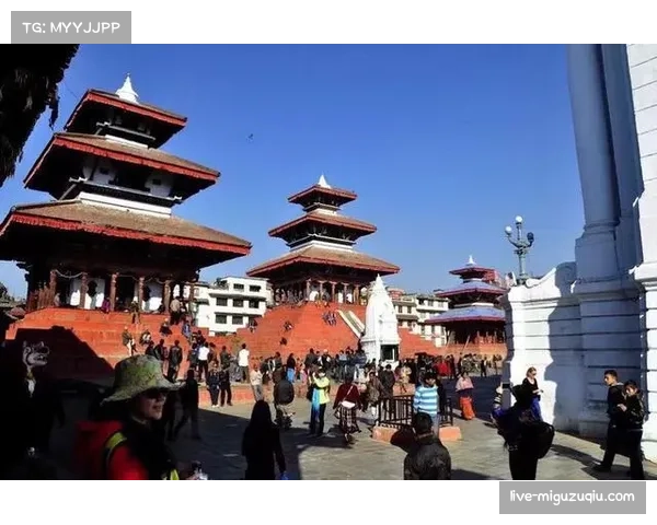 巴萨博物馆扩建完工新增互动体验区吸引大量游客参观